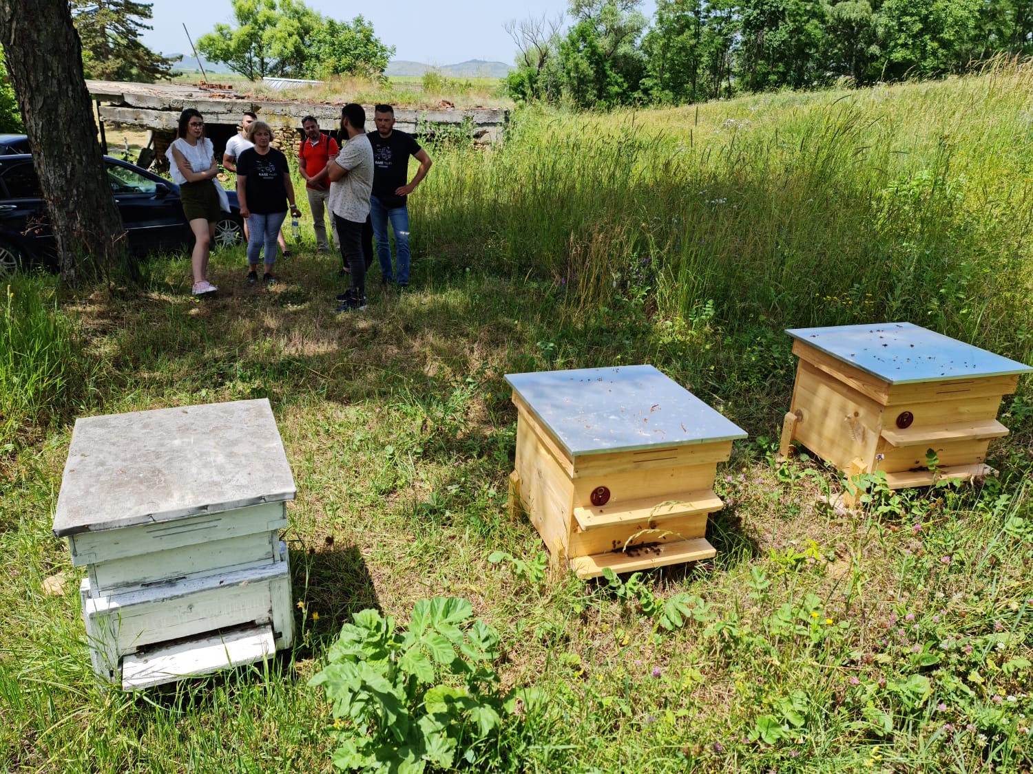 RAISE Youth beehives of RMC-Breznik RAISE Youth beehives of RMC-Breznik